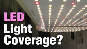 We did not find results for: Spider Farmer Led Grow Lights Review 2021 How Good Is It