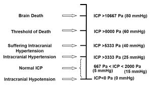 Brain Health Status Associated With The Icp Variation From Normal Icp Download Scientific Diagram