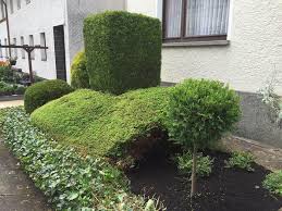 Garten- und Landschaftspflege Oliver Hector