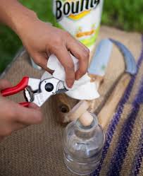 If you have a pressurized attachment, you'll want to make sure that the if you don't need to do a full cleaning of your deck, but you see an excess buildup of algae or dirt, you can make a more concentrated paste with your bleach. How To Clean Garden Tools Cleaning Rusty Garden Tools