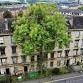 THE VISION AND PRACTICE OF FOREST URBANISM event image