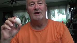 SWINDELLS RACING PIGEONS PART 2 PAIRING & BREEDING