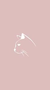 Discover (and save!) your own pins on pinterest. 27 Ide Sorotan Instagram Kucing Instagram Kucing Tato Kecil Lucu
