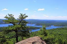 High Point In Norvin Green State Forest Nj State Forest Favorite Places Natural Landmarks