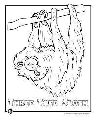 Belize rainforest hidden picture and coloring page. Free Printable Rainforest Coloring Pages Coloring Home