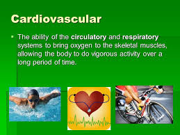 The five health related fitness components: Zumba Health Related Fitness Kassib Health Related Fitness Components Cardiovascular Health Muscular Strength Muscular Endurance Flexibility Ppt Download