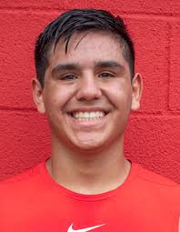 HS FOOTBALL: Area players honored