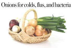 Onion juice helps by providing nourishment and circulation to the hair follicles. How To Use Onions Against Colds Flus And Bacteria Neuroticmommy