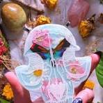 Moth and flowers on skull panel no resin