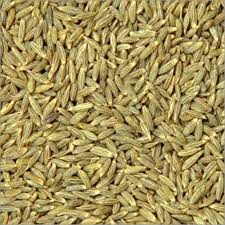 These seeds are also used as ingredients in tahini (sesame seed paste). Cumin Seeds Jeera à¤œ à¤° à¤œ à¤° à¤¬ à¤œ In Gandhidham Piya International Trading Company Id 4323290412