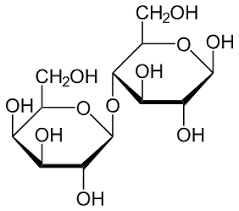 Lactose Intolerance Wikipedia