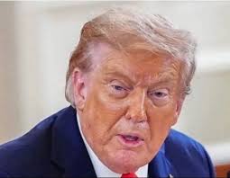 Dear Everybody, As most folk know, I am greatly against the man who  occupies the White House now. Most MAGA folk see this as nothing more than  someone caught up in hating