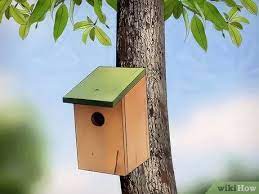 Berries and seeds are especially important. 3 Ways To Attract Birds To Your Garden Wikihow