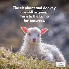 The elephant and donkey are still arguing. Turn to the Lamb for answers.  #prayer #lambofgod | Turn ons, Elephant, Great stories