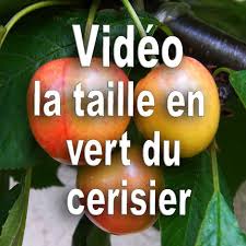 Epingle Sur Taille