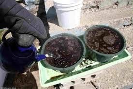 Maybe you would like to learn more about one of these? How To Sterilize Potting Soil And Reuse It In New Pots