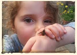 Sussex Biodiversity Record Centre
