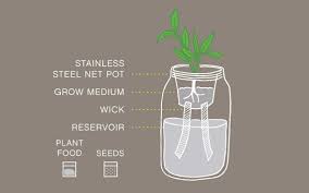 Mason Jar Flower Kit Self Watering Planter For Growing Etsy Self Watering Planter Aquaponics Diy Self Watering