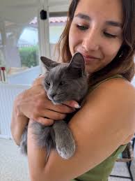 Fundraiser by Jaime Pierce : Help Us Build a Catio at the Cat Cafe