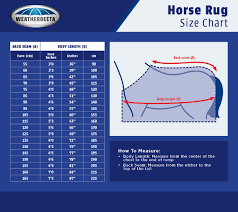 horse blanket size guide