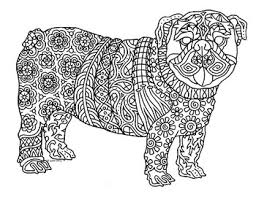 More 100 coloring pages from animal coloring pages category. Bulldog Zentangle Coloring Page By Pamela Kennedy Tpt