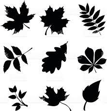 Set Of Leaves Vector Black Silhouettes Royalty Free Stock Vector Art Leaf Silhouette Leaf Stencil Leaves Vector