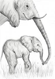 When autocomplete results are available use up and down arrows to review and enter to select. Elephant Mom And Baby Illustration Price Minty