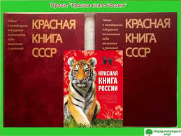 проект красная книга россии 4 класс окружающий мир с картинками Proekt Krasnaya Kniga Rossii Dlya 4 Klassa