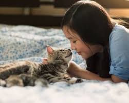 We did not find results for: Puppy Kitten Vet Torrance Companion Animal Hospital