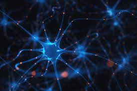 Just the facts new york, ny; Multiple Sclerosis Symptoms Regency Healthcare
