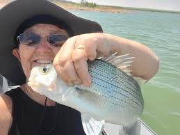 Had a great adventure at ute lake. You really need to watch your sonar if  you do not know the lake. The storms are no joke either. I would say if you