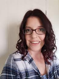 Government backs ONE unitary authority for Somerset