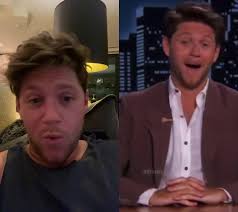 #duet with @niallhoranvids he’s great ! Who is he?
