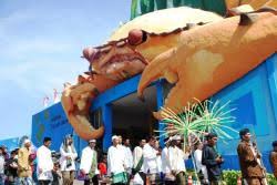 See more of wisata bahari lamongan (wbl) on facebook. Wbl Telah Setorkan Pad Hampir Rp 100 Miliar Surya