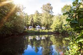 Over the time it has been ranked as high as 4 248 599 in the world. Camping Und Ferienpark Teichmann Natur Pur Trifft Auf 5 Komfort