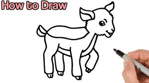 Cute easy animal drawings ideas by far, are the most unique and wonderful art forms. How To Draw A Goat Kid Cute Baby Animals Drawings For Beginners Youtube