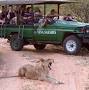 Kruger National Park Post from www.vivasafaris.com