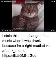 Transcendence is a state where one has transcended using the octahedron of transcendence. 25 Best Memes About Cat Transcendence Cat Transcendence Memes