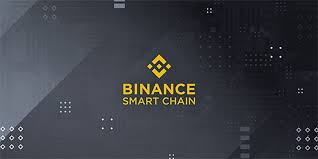 It has a circulating supply of 290 million chain coins and a max supply of 500 million. Top 5 Binance Smart Chain Defi Protocols Dapps Blocksocial