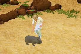 Set up your own clinic in this colorful and addictive arcade simulator you can learn all the nuances of working as a veterinarian, test yourself in this role and help an incredible number of animals. Pet Vet 3d Animal Hospital Down Under Review Gaming Nexus