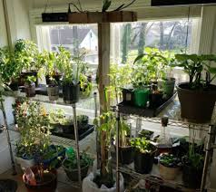Indoor greenhouse shelves don't necessary allow grow plant lights or window sunlight reach to the bottom shelves. Diy Portable Indoor Greenhouse And Tips So Easily Distracted
