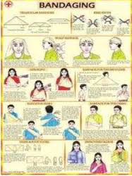 Pictorial First Aid Charts View Specifications Details