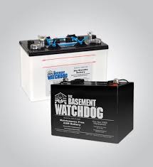 Use to detect leaks before costly water damage is caused. Battery Operated Backup Sump Pumps Basement Watchdog