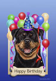 Afbeeldingsresultaat Voor Rottweiler Happy Birthday Funny Rottweiler Rottweiler Tattoo Rottweiler Pup Happy Birthday Fun Puppy Birthday Happy Birthday Funny