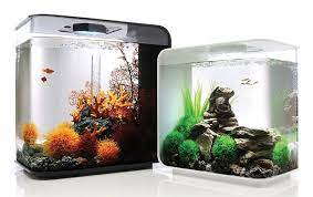 35 model aquarium ikan hias air tawar minimalis 2021. Model Dan Harga Aquarium Mini Terbaru Informasi Ikan Hias Air Tawar Dan Laut Ikanhiasku Net