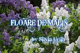 Copierea, difuzarea sau reproducerea neautorizată este strict interzisă. Floare De Malin Toate N Lume Trec Si Vin