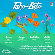 5 best vegetables to grow in the spring. University Of Illinois Extension Edible Flowers Are Pretty Delicious Nasturtium Chives Borage And Squash Flowers Not Only Look Good They Re Tasty Too Bon Appetit Extension Illinois Edu Blogs Flowers Fruits And Frass 2021 07 09 Edible