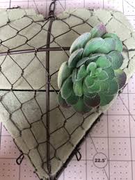 Learn how to care for them and keep your plants alive and thriving. Heart Shaped Succulent