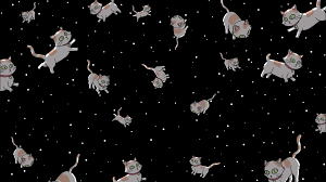 Noticed A Disturbing Lack Of Space Cat Wallpapers Around So I Made One Download Link In Description Rickandmorty