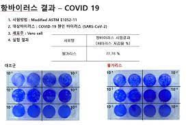 잡담 az백신 필요없네 불가리스 하나면 될것을. Mrzife5gy X3um